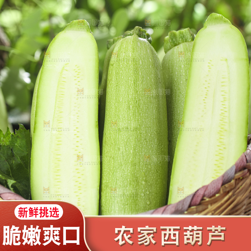 篮子里装着山东西葫芦
