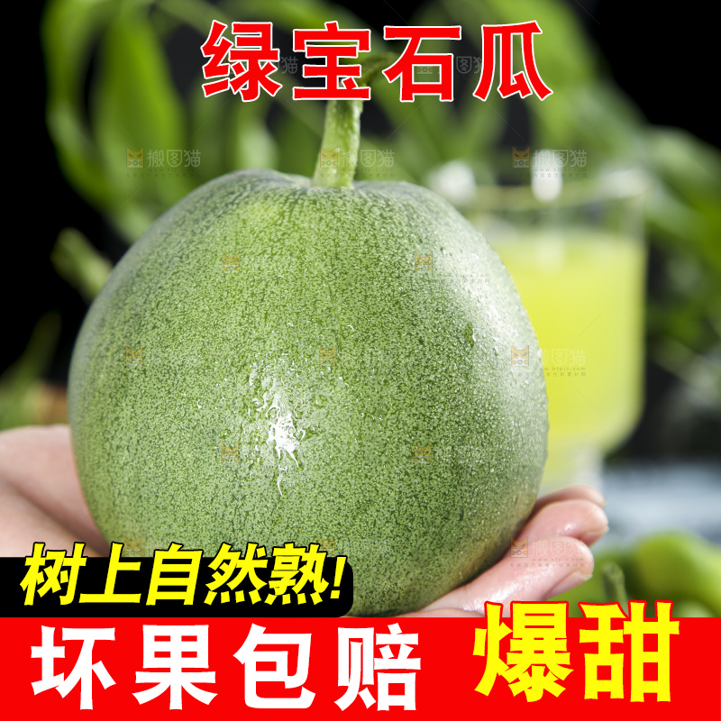 手里拿着绿宝甜瓜