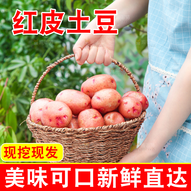 手里提着一篮土豆