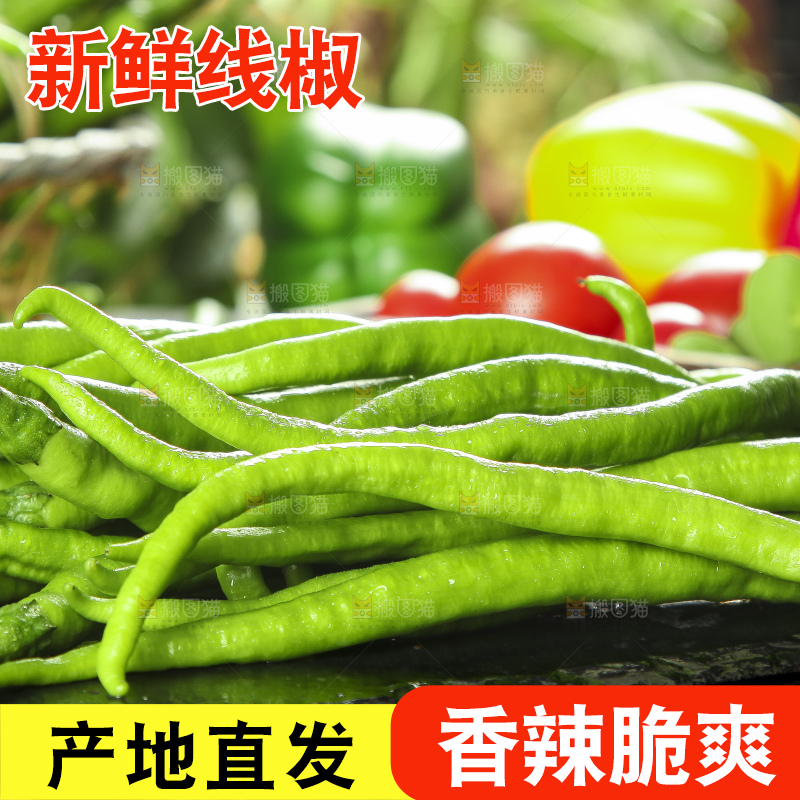 石板上放着一捆线椒