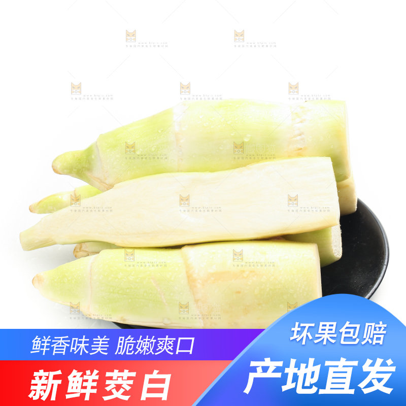白底上的茭白