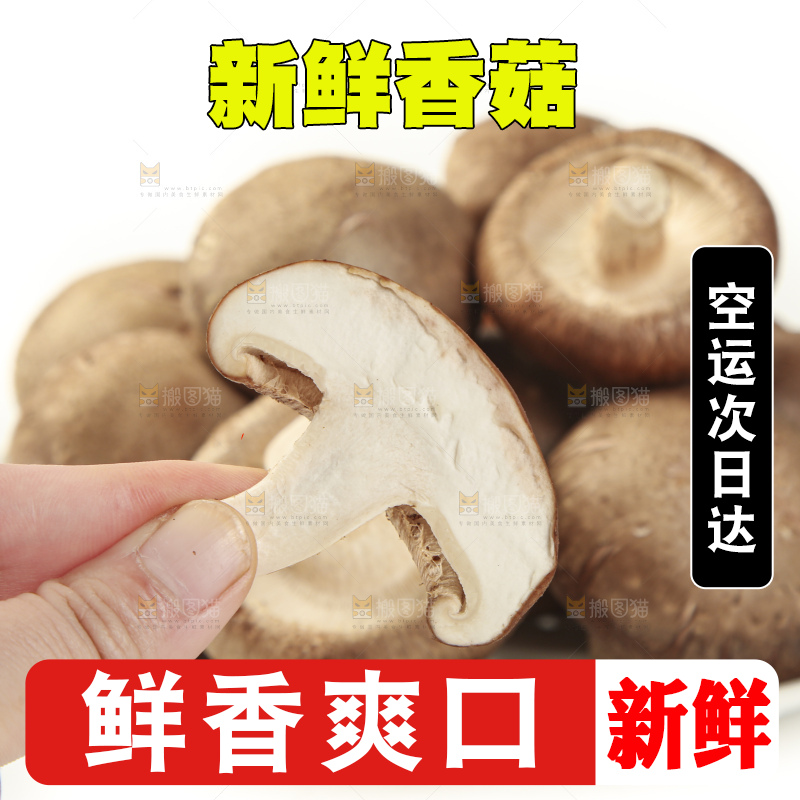 盘子里装着新鲜香菇