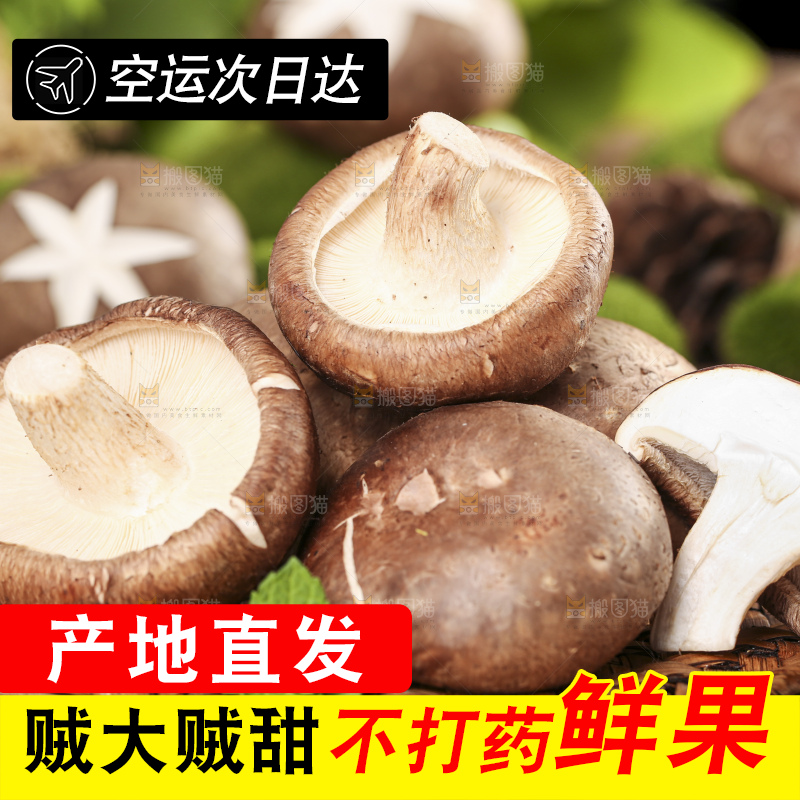 木底上摆放着菌菇