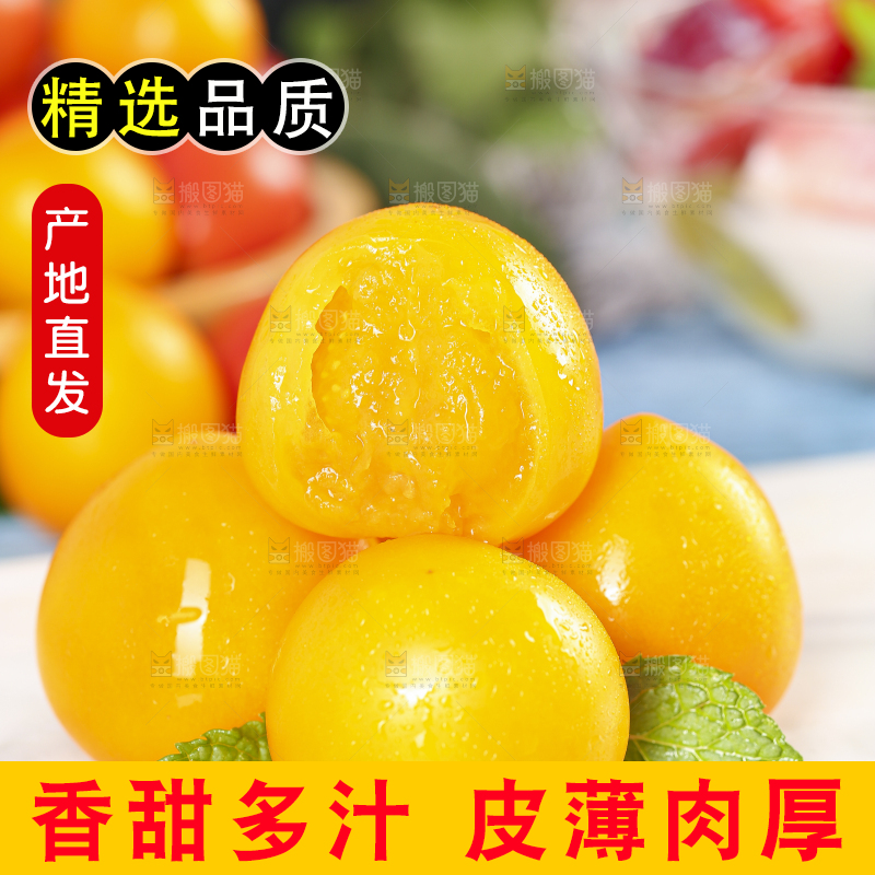 黄金圣女果主图