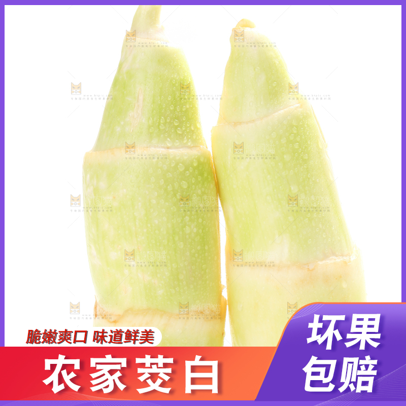 白底上的茭白