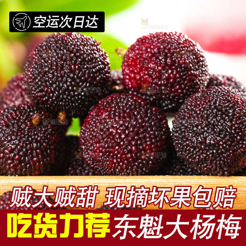 木底上放着鲜杨梅