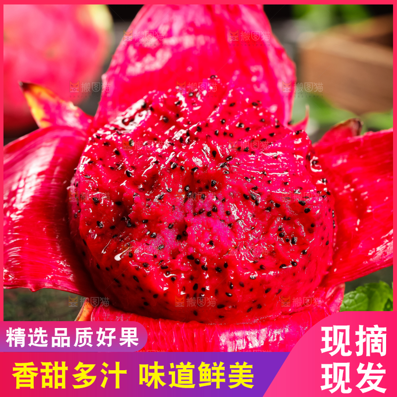 深底上的金都一号红心火龙果