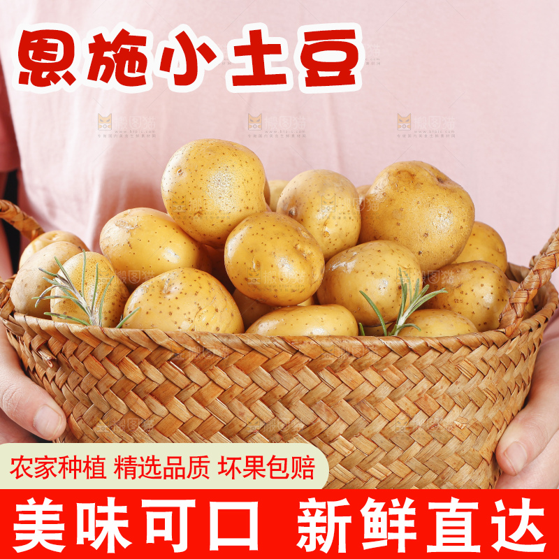 篮子里的山东黄皮小土豆