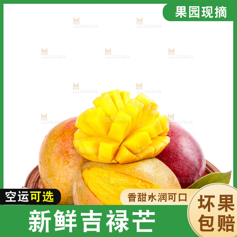 白底上的四川吉禄芒