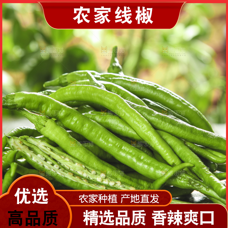 石板上放着一捆线椒
