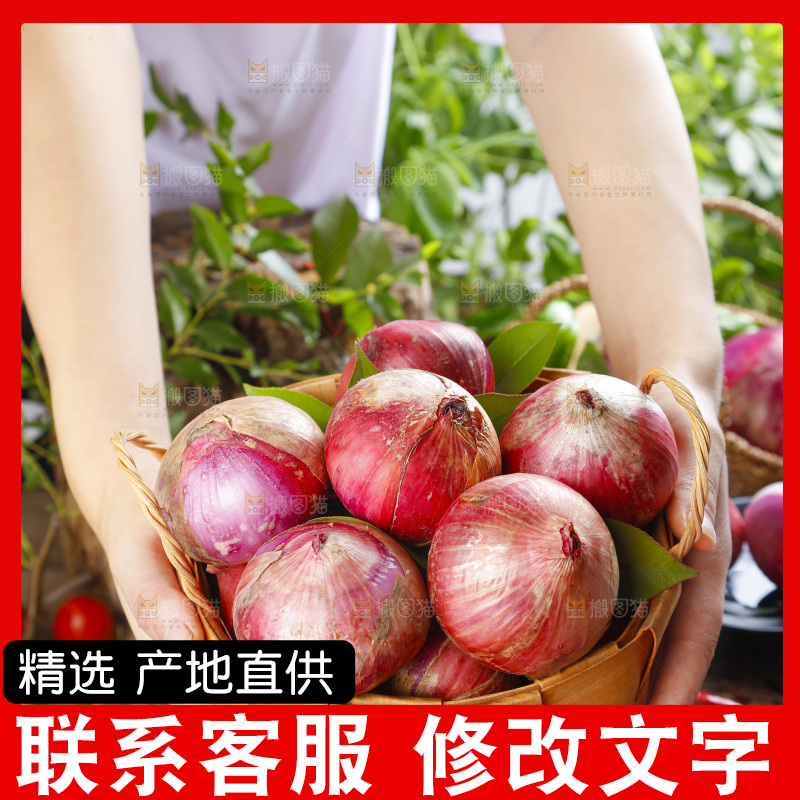 篮子里的新鲜洋葱