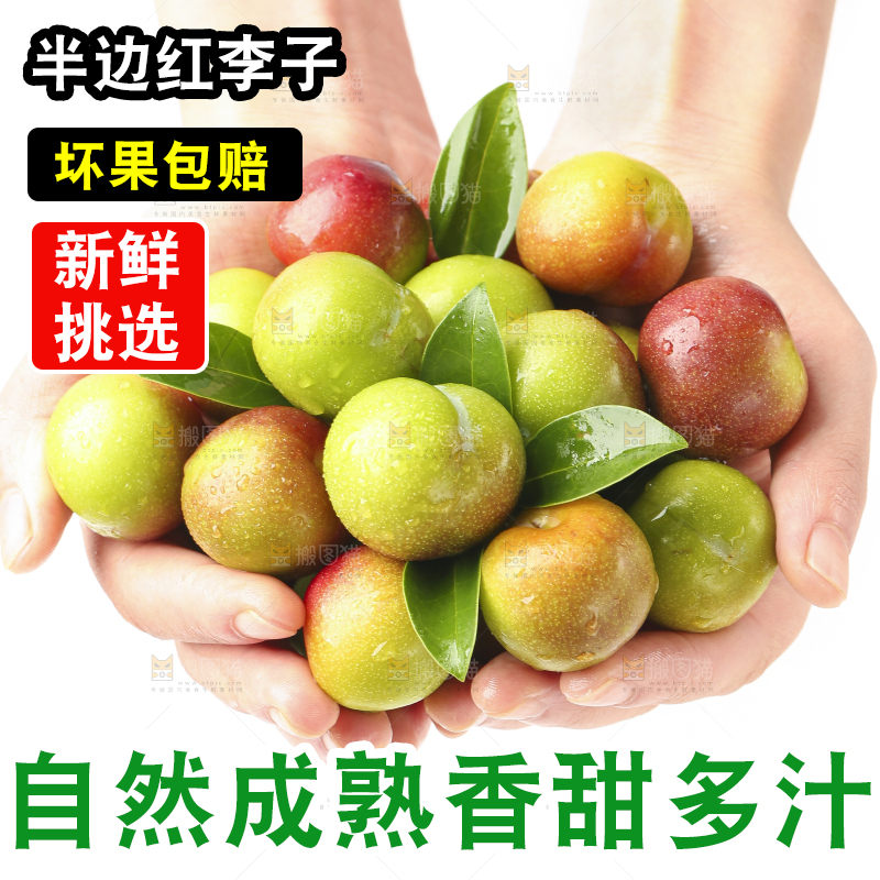 手里捧着半边红脱骨李