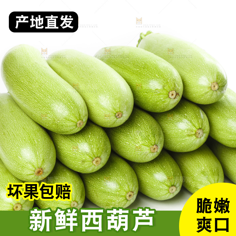 白底上摆放着西葫芦