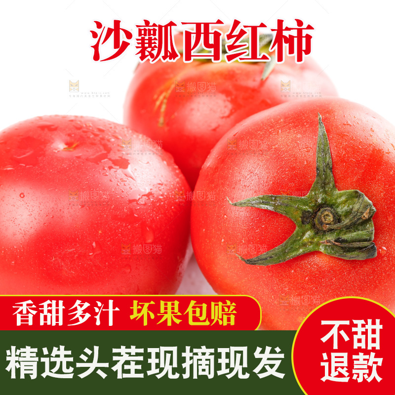 亮底上的新鲜西红柿