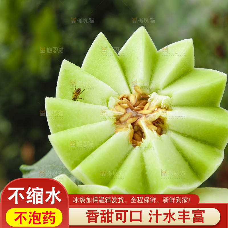 绿草地上摆放着玉菇甜瓜