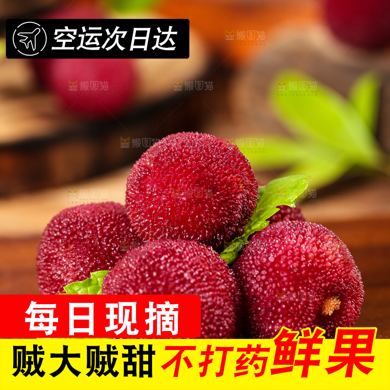 木板上的高山大杨梅