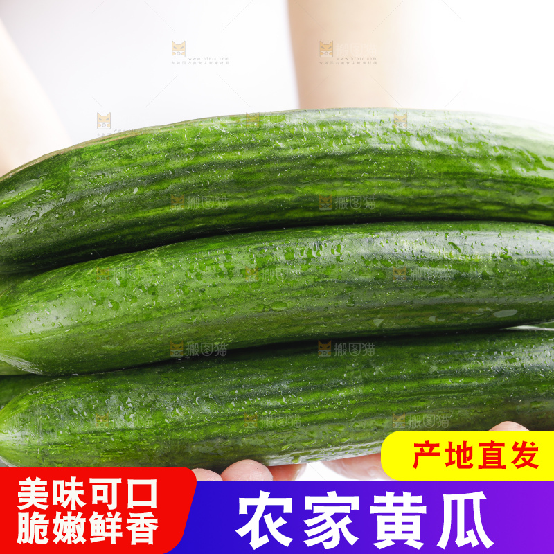 手里拿着嫩黄瓜