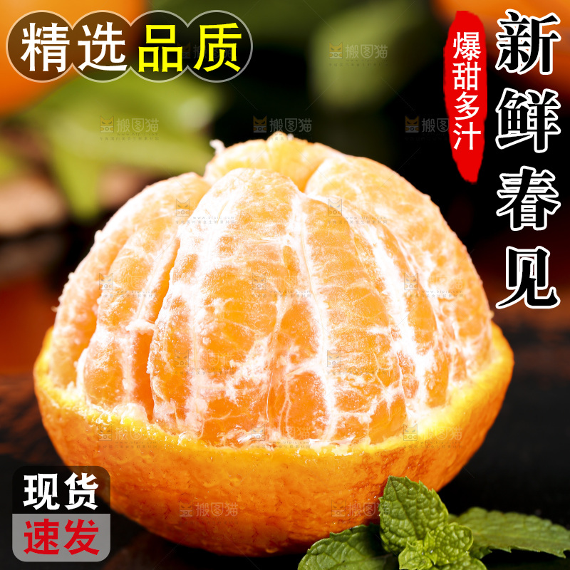 石板上摆放着四川春见耙耙柑