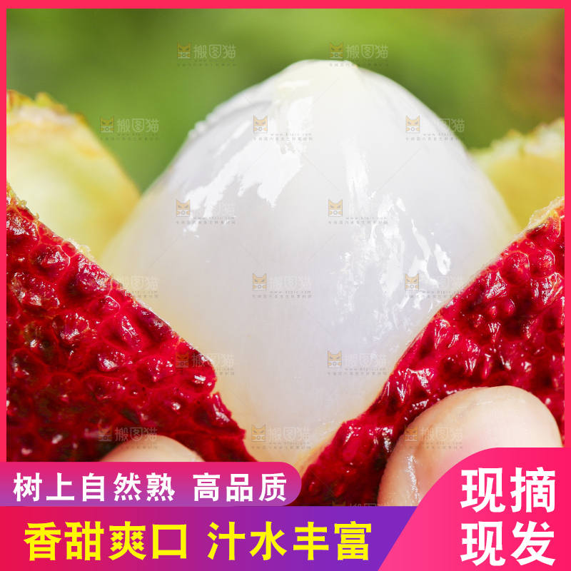 手里拿着妃子笑荔枝