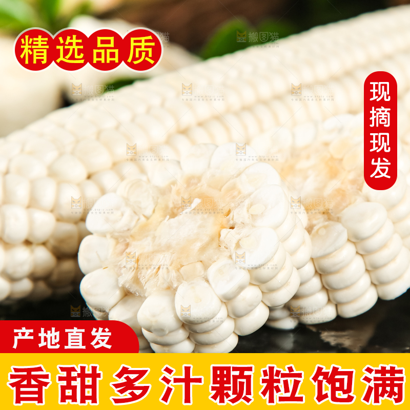黑底上放着白玉米