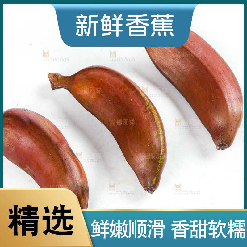 白底上的红皮美人蕉