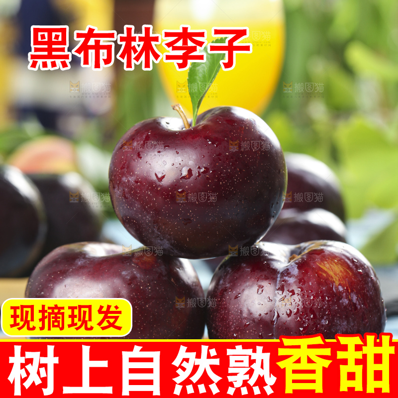 木板上摆放着黑布林