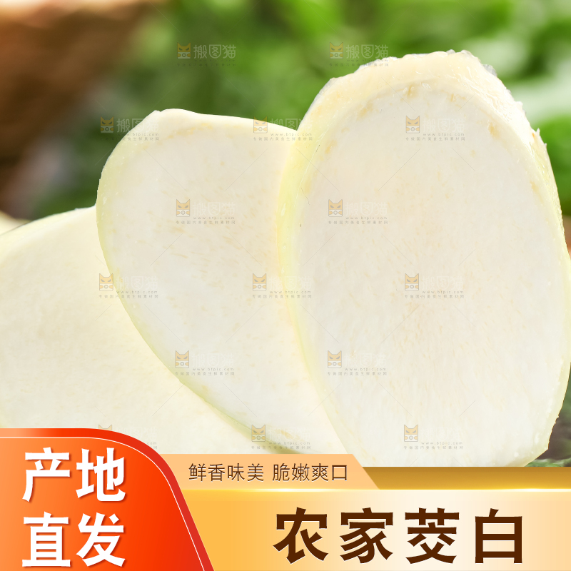 石板上的云南茭白