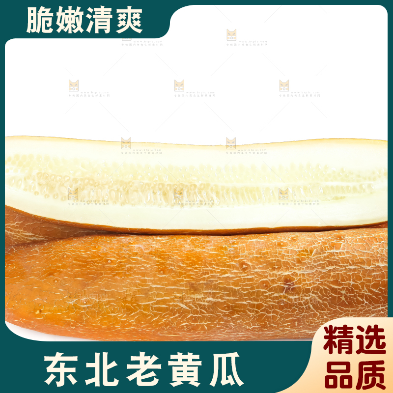 白底上的新鲜老黄瓜