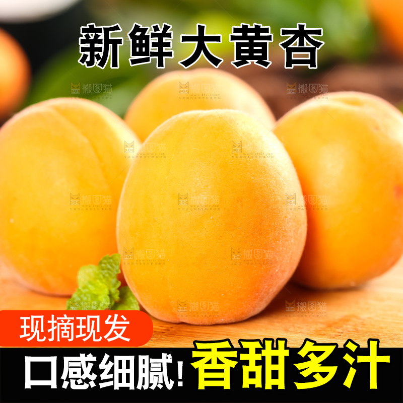 木底上摆放着秦岭头茬大黄杏