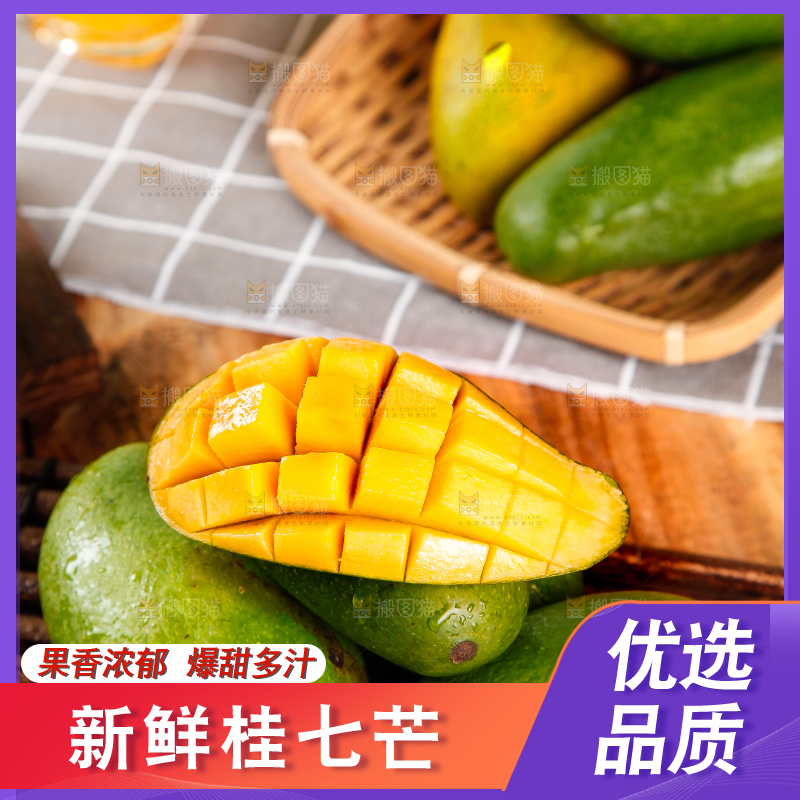 竹底上的青皮桂七芒