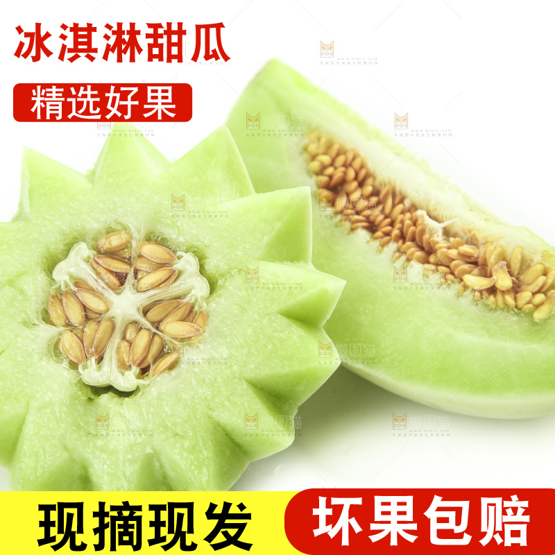 白底上摆放着山东玉菇甜瓜