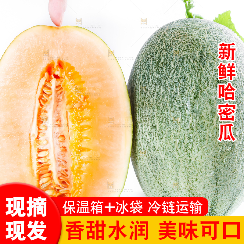 白底上摆放着绿皮哈密瓜