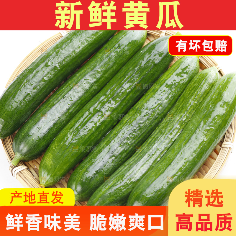 篮子里装着水果黄瓜