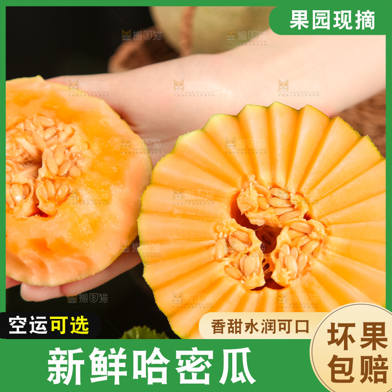 手里拿着网纹瓜