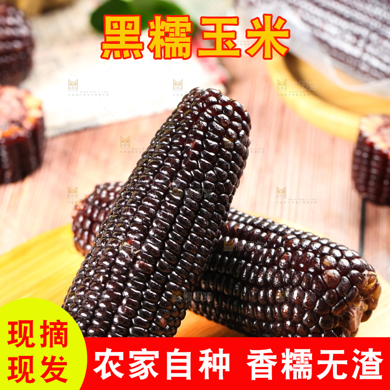 木底上摆放着黑玉米