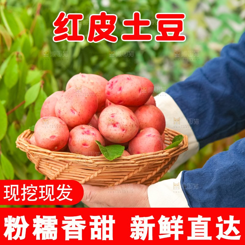 手里捧着一篮土豆