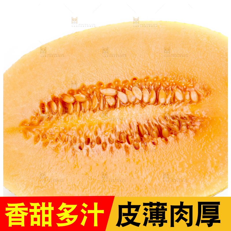 白底上摆放着黄皮蜜瓜