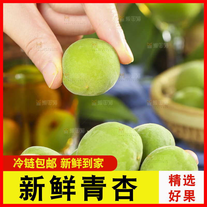手里拿着脆酸青杏