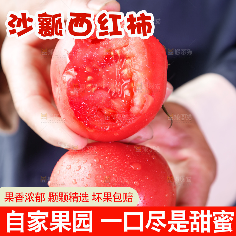农民手里拿着普罗旺斯西红柿