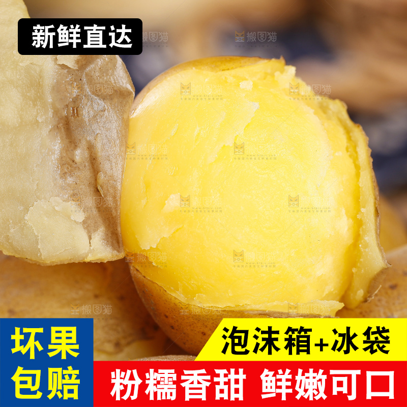 深底上的宜昌小土豆