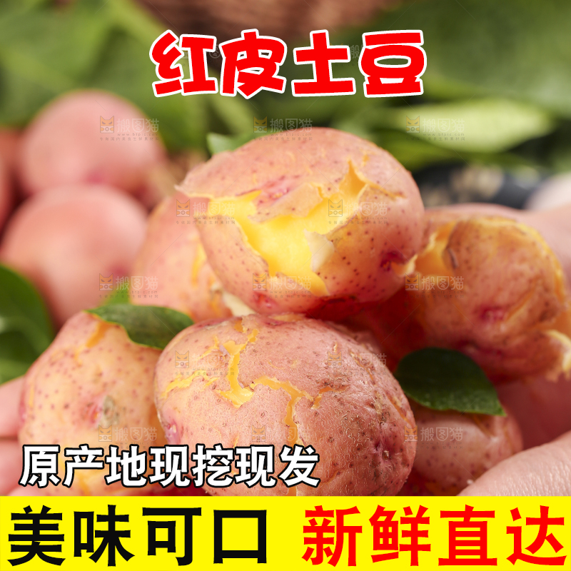 手里拿着红皮土豆