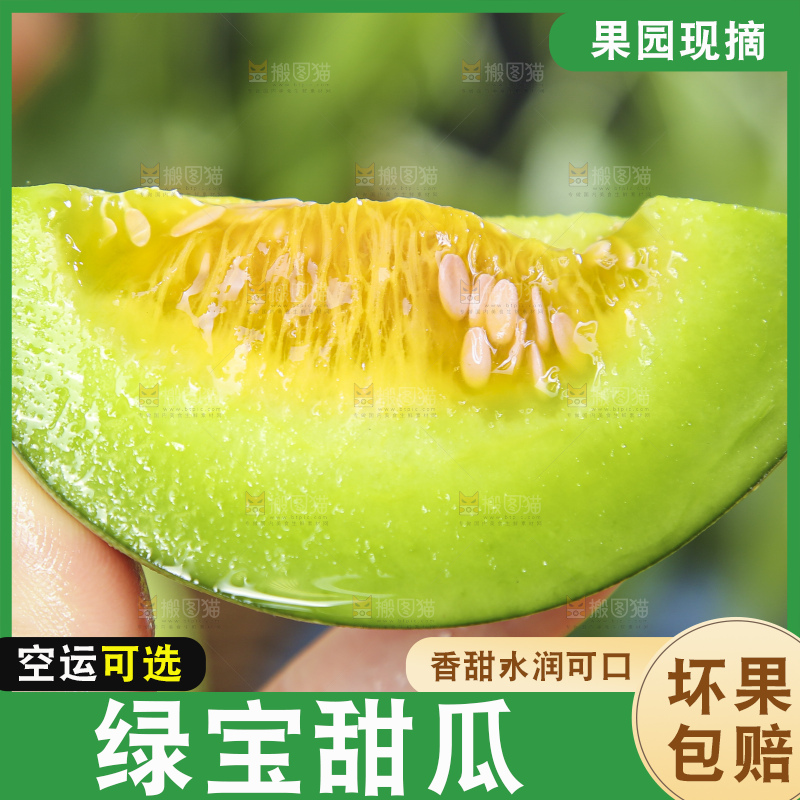 手里拿着绿宝香瓜