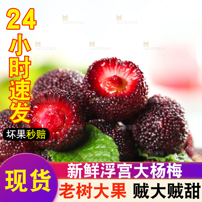 篮子里装着杨梅