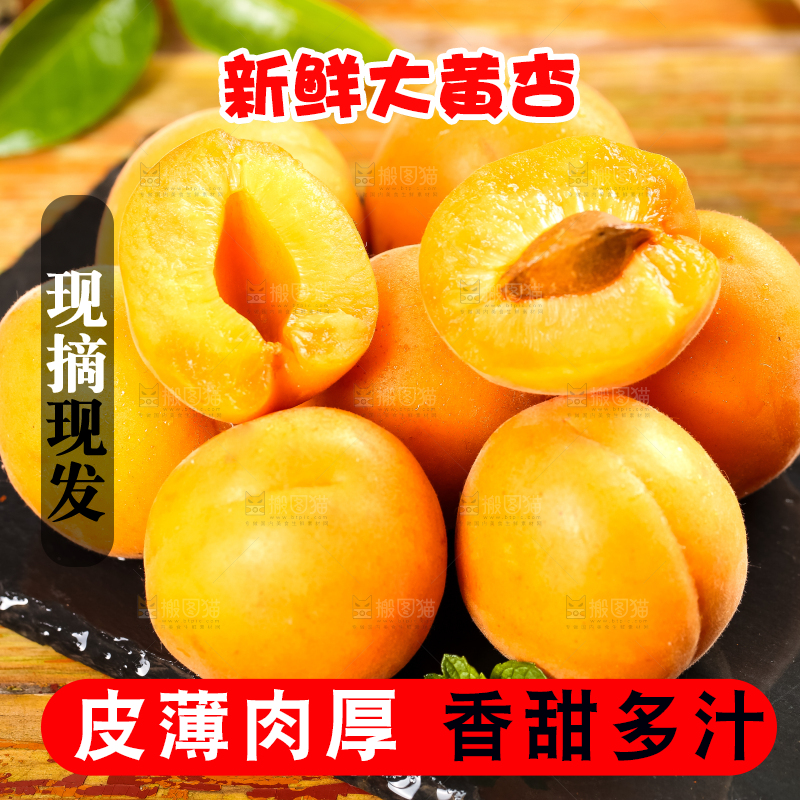 黑底上放着大黄杏