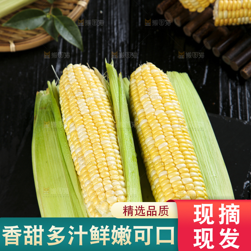 黑底上的云南水果玉米