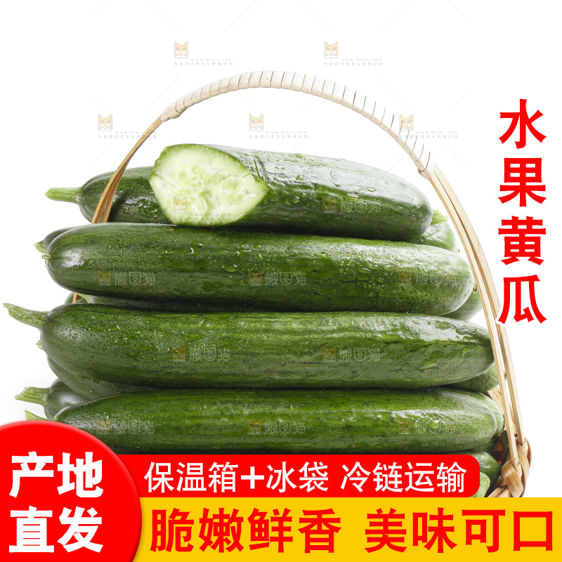 篮子里装着无刺小黄瓜