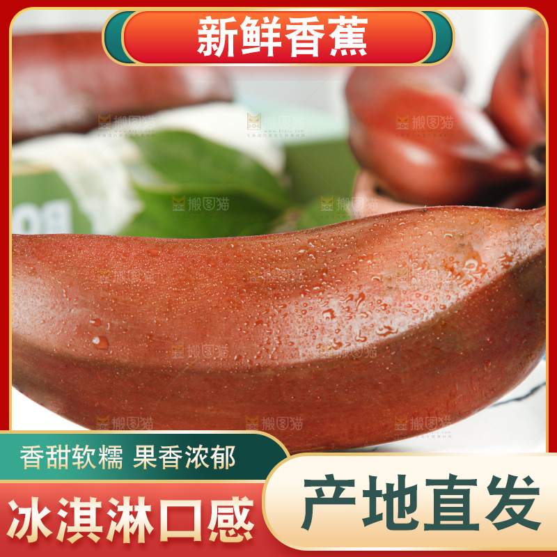 蓝底上摆放着红皮美人蕉