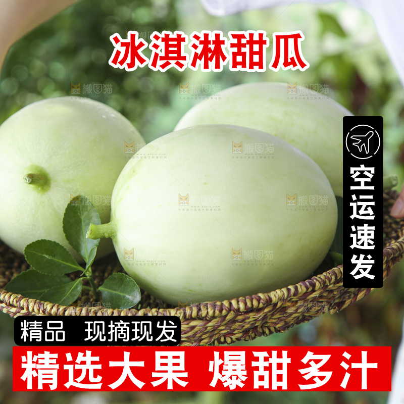 篮子里装着南汇玉菇甜瓜