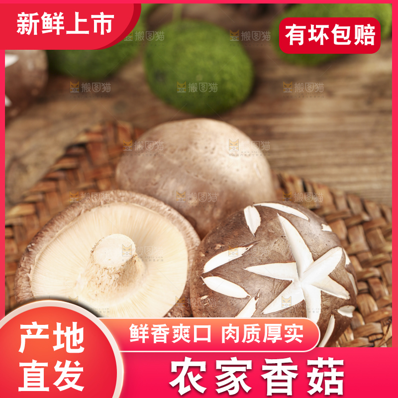 编织垫上放着香菇