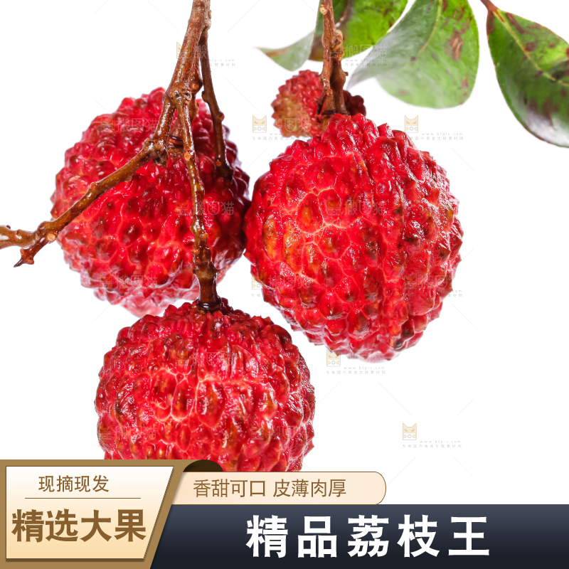 白底上摆放着荔枝王